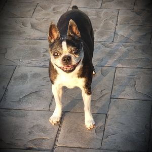 Meet your Posher, Rhonda